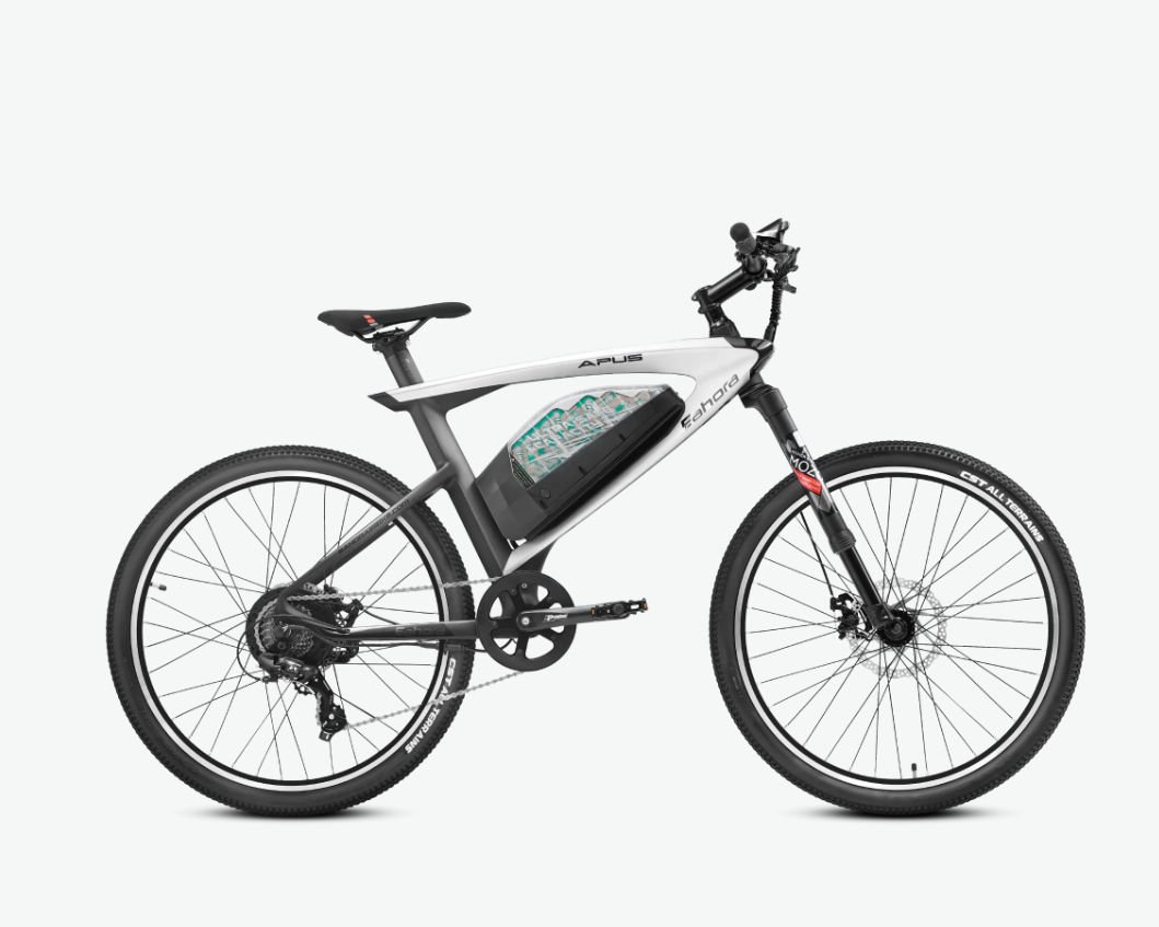 Električno cestno kolo Eahora APUS (750W, 15Ah) - Top pogon