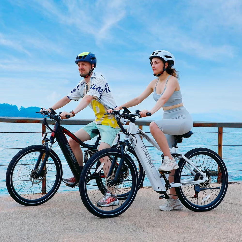 Električno kolo SAMEBIKE XR (750W, 20Ah)