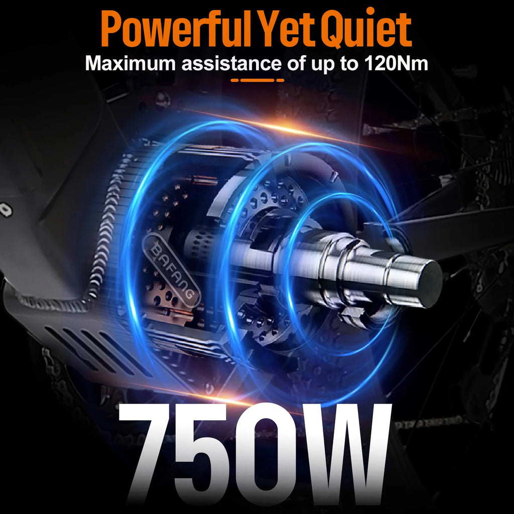 Električno kolo Varstrom ONE – električno kolo (750W, 20Ah)